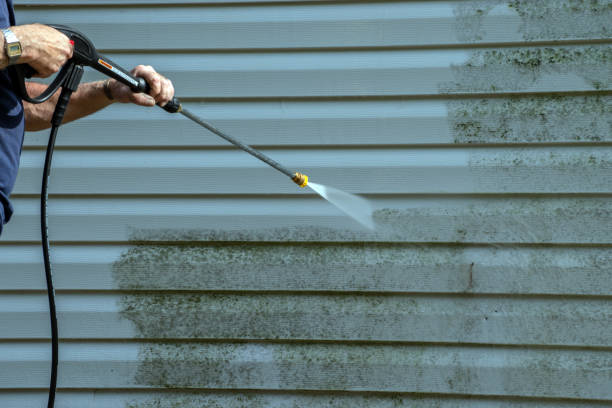 Best Dumpster Area Cleaning  in Siena College, NY